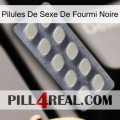 Black Ant Sex Pills 08